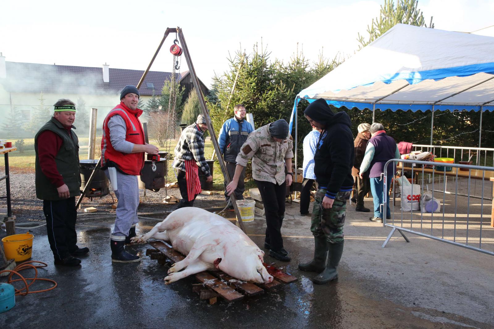Fotogaléria Zabíjačka a príchod Mikuláša 2016 (10) Zabíjačka a príchod Mikuláša 2016